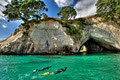 Glass Bottom Boat Whitianga Scenic Cruise image 6