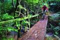 Glenbervie Mountain Biking image 3