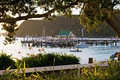 Hananui Lodge & Apartments image 3
