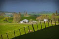 Hobbiton Movie Set and Farm Tours image 2