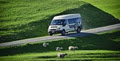 Hobbiton Movie Set and Farm Tours image 5