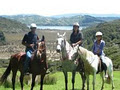 Hokianga Horse Treks logo