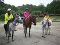 Horse Riding Warkworth image 2