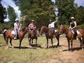 Horse Riding Warkworth image 3