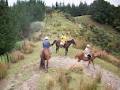 Horse Riding Warkworth image 5