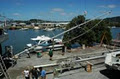 IYS Yacht Rigging Whangarei image 3