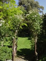 Kahikatea Gardens & Rexworthy Cottage Chutneys & Walnut Oil image 2