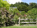 Kahikatea Gardens & Rexworthy Cottage Chutneys & Walnut Oil logo