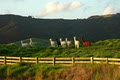 Kandiah Alpacas and Farmstay logo