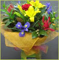 Living Colour Florist image 2