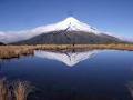 MT TARANAKI GUIDED TOURS image 2