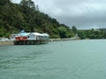 Mangonui Fish Shop image 4