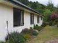 Marahau Beach Holiday Home image 4