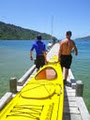 Marlborough Sounds Adventure Company image 5