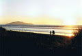 Marly's Cottage Holiday Home at Otaki Beach image 4