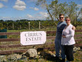 Martinborough Wine Tours Ltd image 4