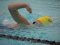 Massey Amateur Swimming Club logo