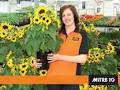 Mitre 10 MEGA Botany image 4