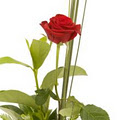 More Than Flowers logo