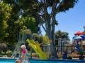 Motueka Top10 Holiday Park image 2