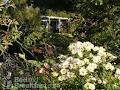 Mt Huia Farmstay B&B image 6