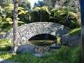 Natural Habitats Landscape Design Auckland image 2