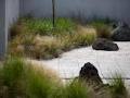 Natural Habitats Landscape Design Auckland image 3