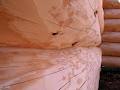Natural Log Homes image 3
