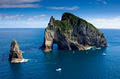 New Zealand Travel Information Network Ltd logo
