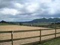 Northland Equestrian image 5