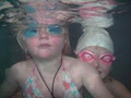 Odyssey Divers image 2