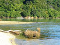 Ohingaroa Bay cabin image 4