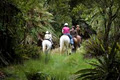 Oropi Bushlands Horse Treks logo