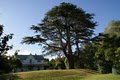 Paheke Bed & Breakfast, Bay of Islands image 3