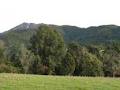 Peel Forest Homestay image 4