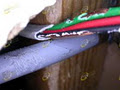 Pestproof Pest Control image 3