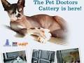 Pet Doctors Botany image 3