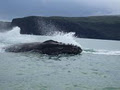 Private Charter Cruises, Lyttelton image 6