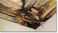 Quality Building Solutions logo