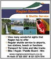 Raglan Scenic Tours image 4