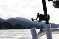 Rakiura Charters Limited image 2