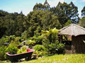 Rangimarie Bush Retreat image 3