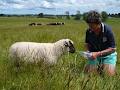 Rangitikei Farmstay image 2