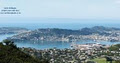 Real Estate Agent Wellington New Zealand image 4