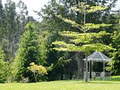 Richlyn - B&B Taupo Accommodation image 2