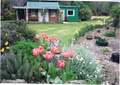 Sherwood Forest and Gardens image 2