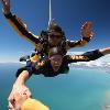 Skydive Abel Tasman image 2
