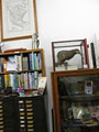 Smith's Book Shop image 6