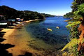 Stewart Island Flights image 2