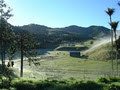 Tangowahine Farm and Rural Retreat image 5